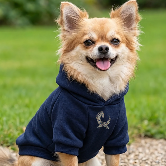 Boodle Pooch Hoodie – Navy Halloween Leopard