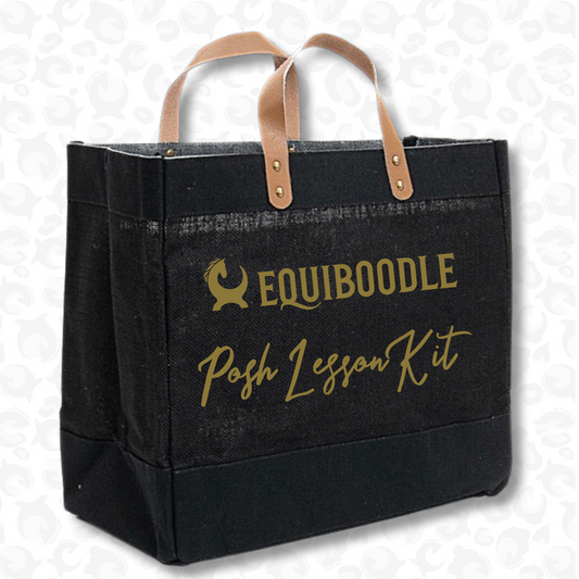 Equiboodle Grab Bag - Black/Gold Posh Lesson Kit